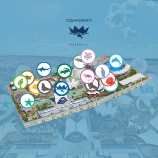 Tour virtual del Oceanogràfic de Valencia 1