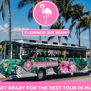 Flamingo Bus Miami Tour 16