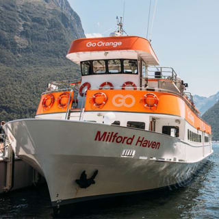 Milford Sound Scenic Cruise of the Fiords 1