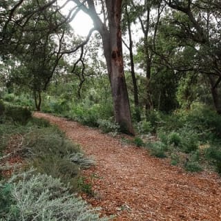 Kings Park Botanicals And Beyond 9