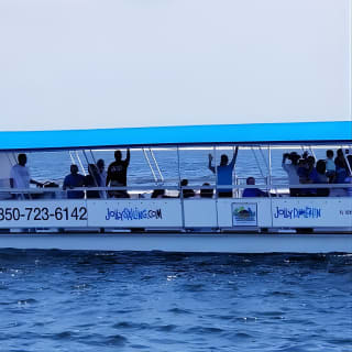 Pensacola Beach Jolly Dolphin Cruise and Scenic Bay Tour 6