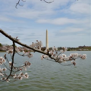 Visita guiada al National Mall con las 10 atracciones principales 24