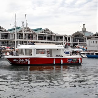 30min Harbour Boat Cruise Cape Town 10