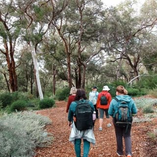 Kings Park Botanicals And Beyond 10