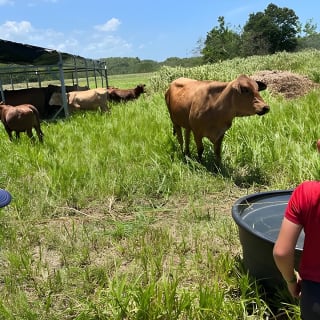 Eco Friendly Farming Tour to Explore Dorado's Most Beautiful Farm 19