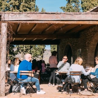 Colline del Chianti: Experiencia enológica desde Florencia 45