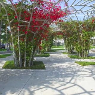 Miami Beach: Transcending Mall 6