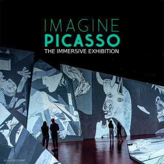 Imagine Picasso: The Immersive Exhibition 2