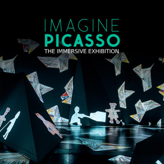 Imagine Picasso: The Immersive Exhibition 4