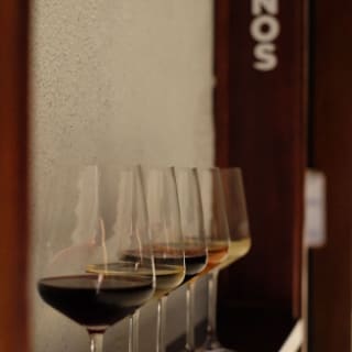Cata de Vinos en Rustico 3