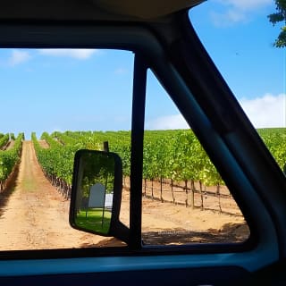 Wine Beer and Biltong Safari - Stellenbosch 3