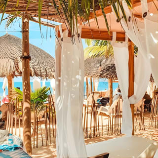 Tour Semi-Privado de 7 Horas en Playa Blanca, Barú - Cartagena 6