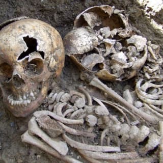 Irish Potato Famine Exhibition 4