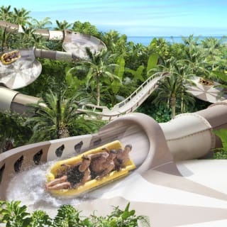 Loro Parque y Siam Park: Entrada 5