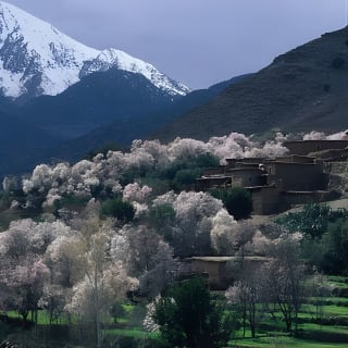 Promenade à dos de chameau à Agafay et vallée de l'Ourika dans les montagnes de l'Atlas 6