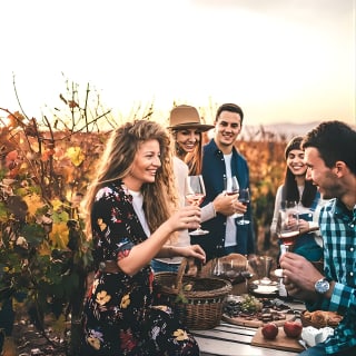 Napa and Sonoma Wine Country Full-Day Tour from San Francisco 1