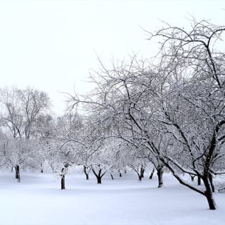 Queens Botanical Garden 5
