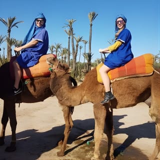 Promenade à dos de chameau dans les palmeraies de Marrakech 6