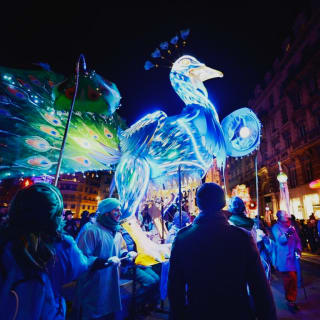 Fête des Lumières & Marché de Noël Dijon 1