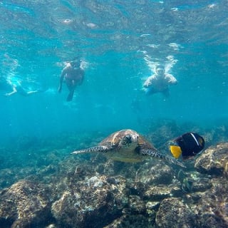 Full Day Tour Pinzon Island + La Fe/Las Palmas - Snorkeling & Fishing 2