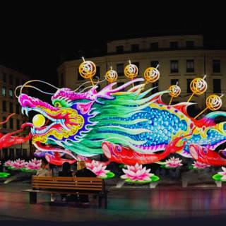Fête des Lumières & Marché de Noël Dijon 5