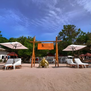 Pao Pao Beach Club Islas del Rosario Full Day Experience 8