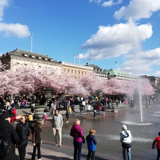 Skandinavische Kunst, Architektur und Design-Tour in Stockholm 9