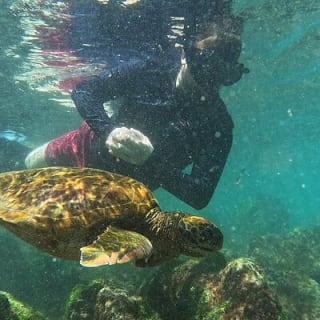 Full Day Tour Pinzon Island + La Fe/Las Palmas - Snorkeling & Fishing 3