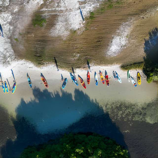 Avventura in kayak guidata nel туннель мангрови 14
