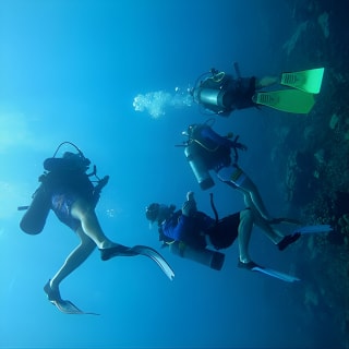 Bajo un mar de aventuras, inmersiones inolvidables. 18