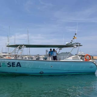 Maiorca: Gita in barca a Cabrera con bagno nella Grotta Azzurra 6