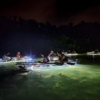Clear Kayak LED Night Glass Bottom Tour - Siesta Key, FL 2