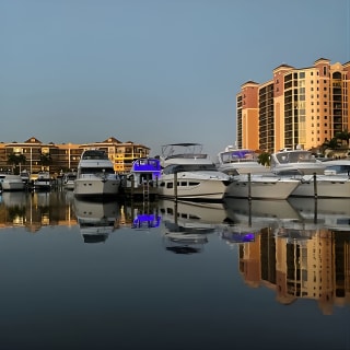 Private ONLY Dolphin Boat Tours 4