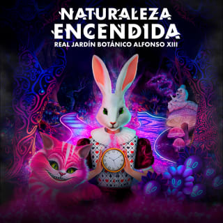 Naturaleza Encendida: Alicia en el País de las Maravillas 1