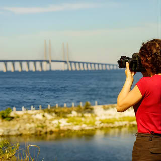 Malmö Private Tour with Swedish Lunch from Copenhagen by Train 1