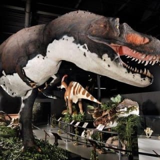 Branson Dinosaur Museum Admission Ticket 1