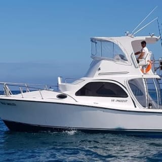 Full Day Tour Pinzon Island + La Fe/Las Palmas - Snorkeling & Fishing 7