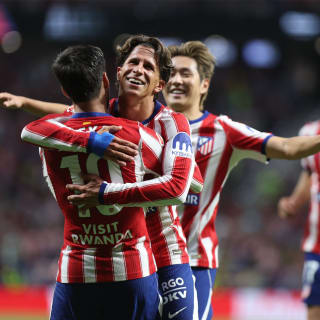 Entradas oficiales: Atlético de Madrid - Fenerbahçe SK 5