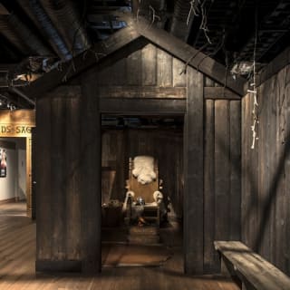 Viking Museum : billet d'entrée 34