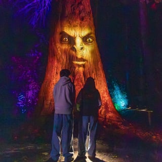 LUMA Enchanted: A Whimsical Sensory Night Walk 5