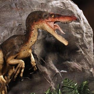 Branson Dinosaur Museum Admission Ticket 2