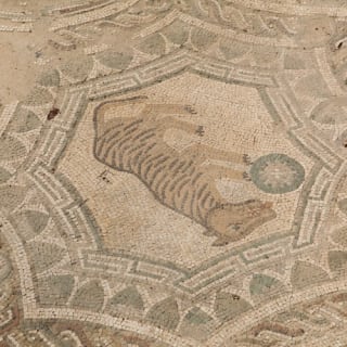 Villa Romana di Patti: Biglietto d'ingresso 4