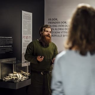 Viking Museum : billet d'entrée 35