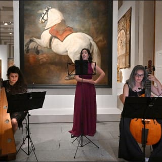 Magical Nights at The Gallery 1