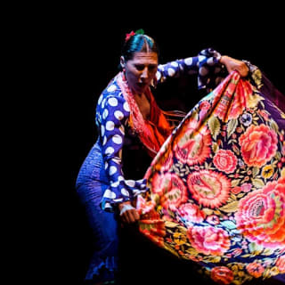 Museo del Baile Flamenco: Entrada + Puro Espectáculo Flamenco 21