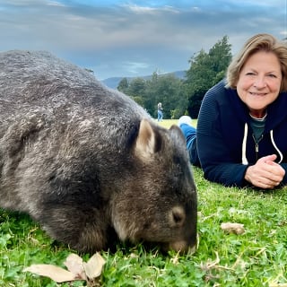 Wild Wombat et tournée du jour de kangourous depuis Sydney 6