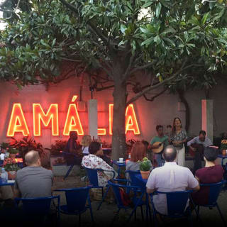 Fado no Jardim da Casa de Amália Rodrigues 1