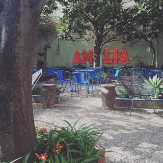 Fado no Jardim da Casa de Amália Rodrigues 3
