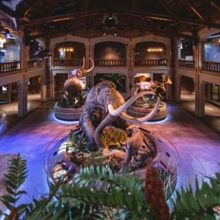 Toledo Zoo & Aquarium: boleto de entrada 7