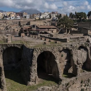 Ercolano: Biglietto d'ingresso 9